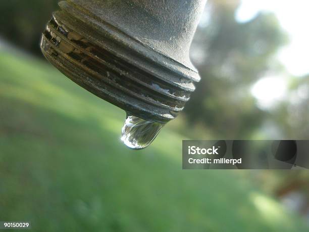 Photo libre de droit de Précieux Leau banque d'images et plus d'images libres de droit de Déchets - Déchets, Eau, Environnement