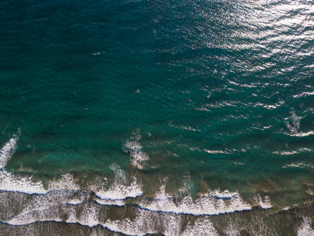 istock Aerial view of Maspalomas beach, Gran Canaria, Spain. 901500902