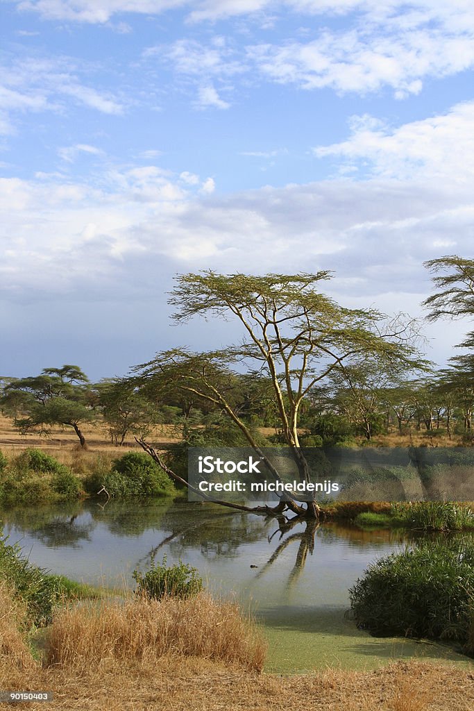 アフリカの風景 - タンザニアのロイヤリティフリーストックフォト