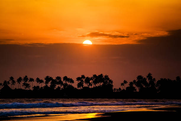 istock beautiful sunset over the coconut plams on Sri Lanka beach 901505352