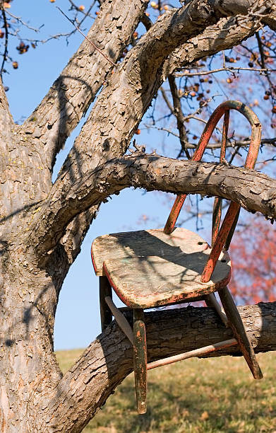 istock Old Chair up a Crabapple Tree 90150561