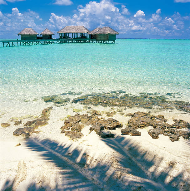 Turquoise sea, white beaches, coconut palms, just relax... 