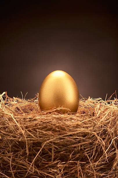 złote jaj - animal egg golden animal nest nest egg zdjęcia i obrazy z banku zdjęć