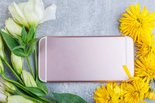 istock Variousflowers are arranged around a pink mobile phone. View from above. 901509182
