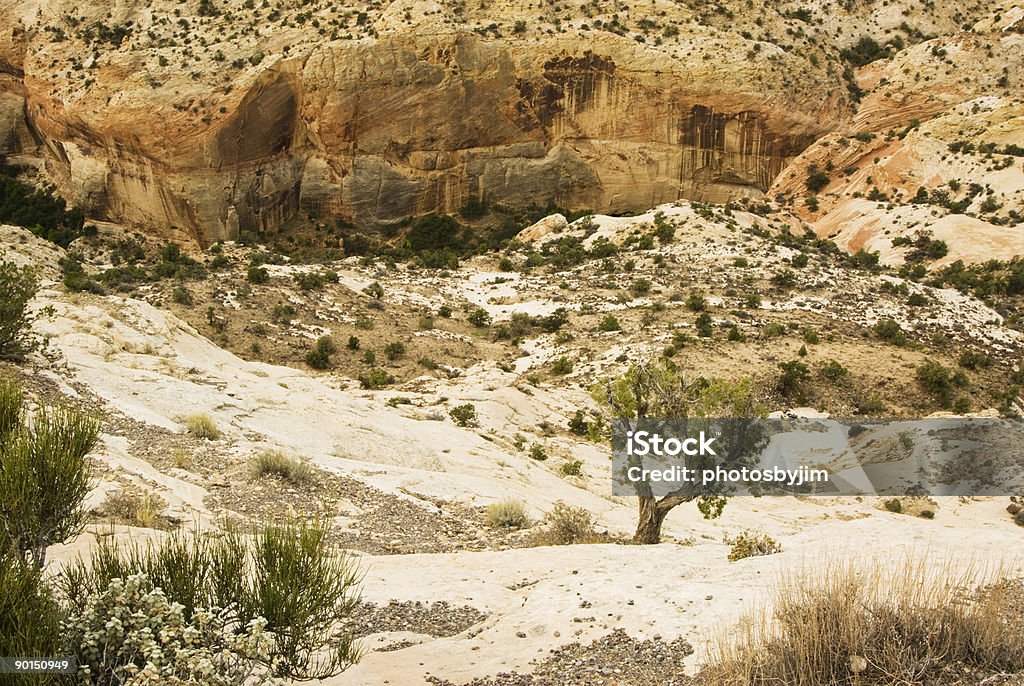 Vista desde el Hogback 3 - Foto de stock de Acantilado libre de derechos