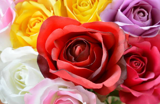 istock colorful fabric rose texture and background 901510470