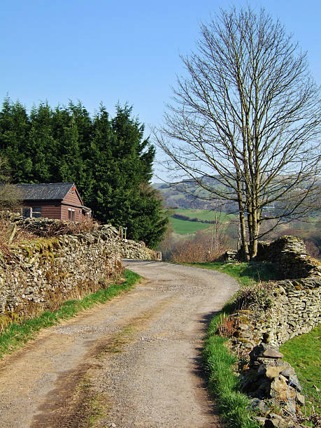 istock Country lane in the Lyth Valley 90151177