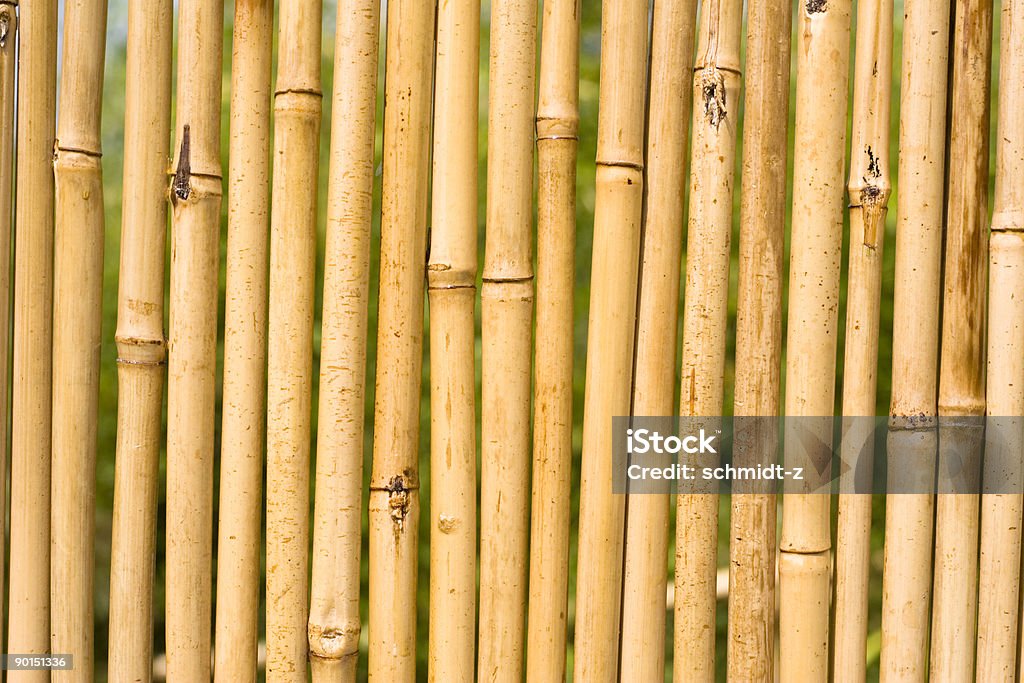 Bamboo  Backgrounds Stock Photo