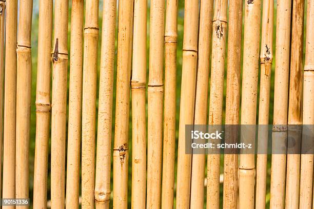 Bamboo Stock Photo - Download Image Now - Backgrounds, Bamboo - Material, Brown