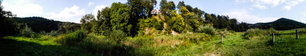 istock Panorama of muddy river Poprad and surrounding forest 2 901515052