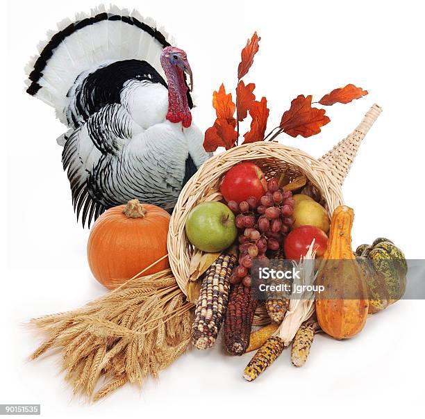 Thanksgiving Stock Photo - Download Image Now - Cornucopia, Thanksgiving - Holiday, Turkey - Bird