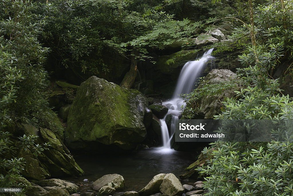 Cascata Smoky Mountain - Foto stock royalty-free di Cascata