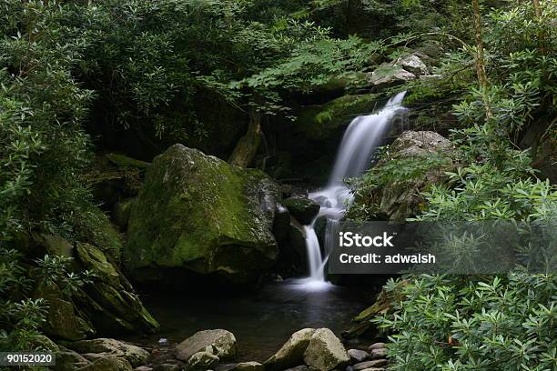 Cascata Smoky Mountain - Fotografie stock e altre immagini di Cascata - Cascata, Grandi Montagne Fumose, Parco Nazionale Great Smoky Mountains