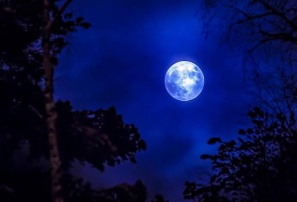 istock Full moon and tree silhouette. Photo from Sotkamo, Finland. 901521692