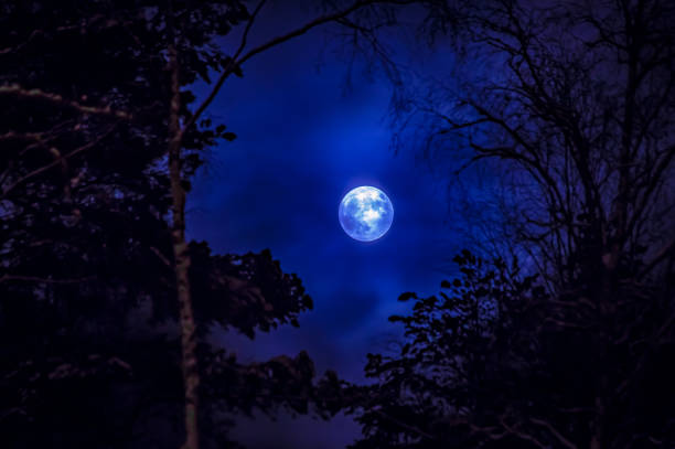 istock Full moon and tree silhouette. Photo from Sotkamo, Finland. 901521704