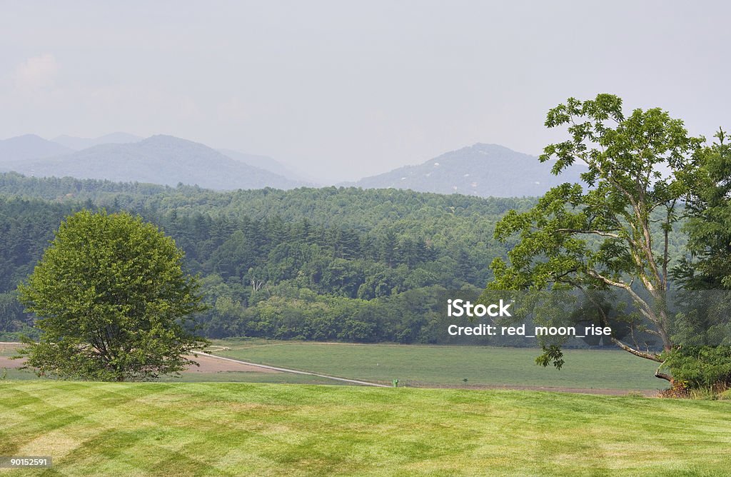 Bäume und meadows in the mountains - Lizenzfrei Alm Stock-Foto