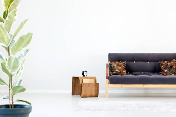 istock Plant in bright living room 901527188