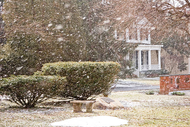 istock Spring Snow Flakes on Village Green with Sunlight 90153066