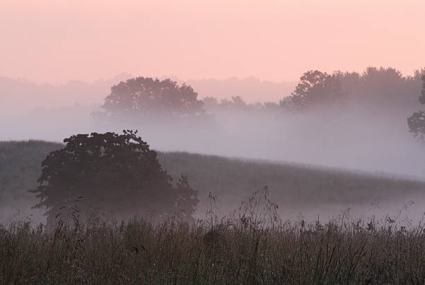 Dawn at Valley Forge National Park#1  battlefield photos stock pictures, royalty-free photos & images