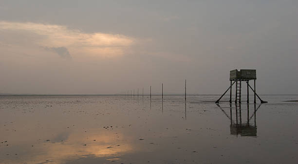istock Autumn morning, Lindisfarne, Northumberland 90153778