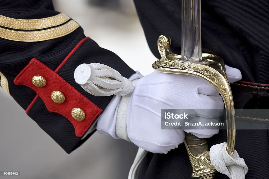 칼 of honour 근위대 - 로열티 프리 공군 스톡 사진