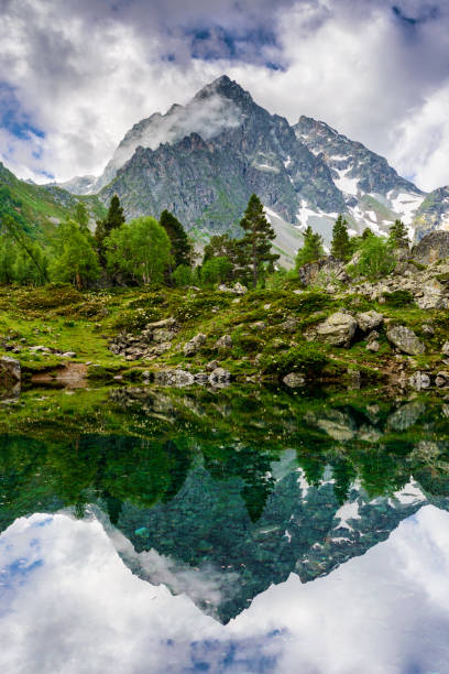 istock Summer morning on the lake 901539822