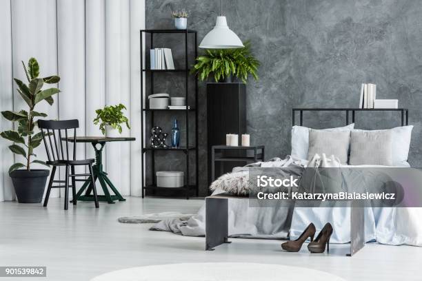 Black Chair In Bright Bedroom Stock Photo - Download Image Now - Apartment, Backgrounds, Banyan Tree