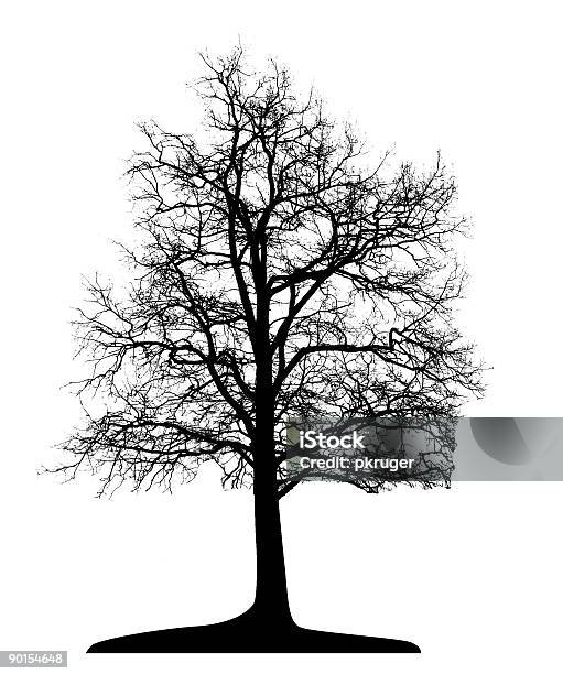 Wektor Drzewo Puste - Stockowe grafiki wektorowe i więcej obrazów Bez ludzi - Bez ludzi, Biały, Bliskie zbliżenie