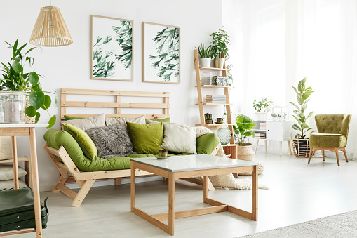 Wooden green settee with pil;ows against wall with leaves posters in eco living room with plants and wooden table
