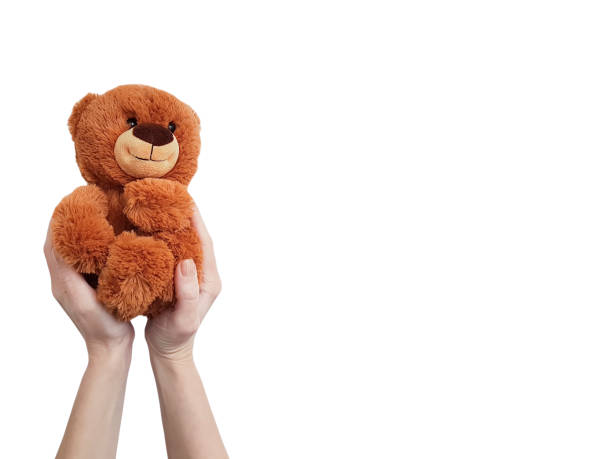 istock hand teddy toy isolated 901550646