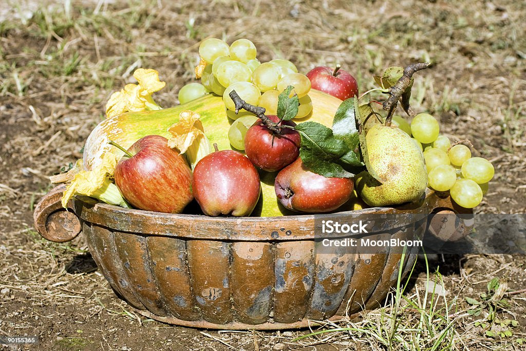 Des Fruits Harvest - Photo de Agriculture libre de droits