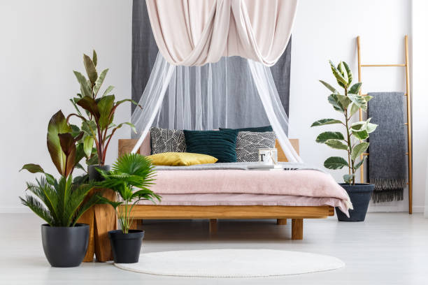 istock Plants in pastel bedroom interior 901554476