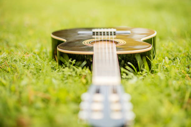 guitair in the garden layed on a grass