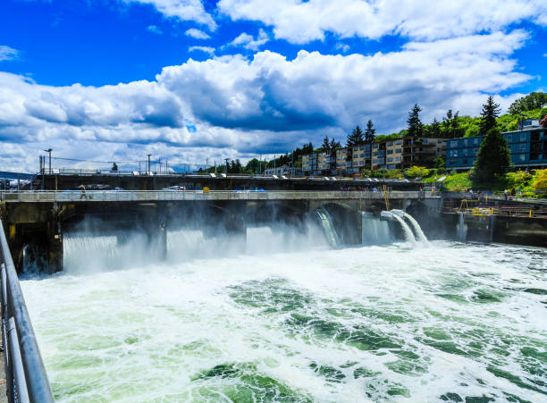 istock Fish Ladder at Ballard Locks 901562748
