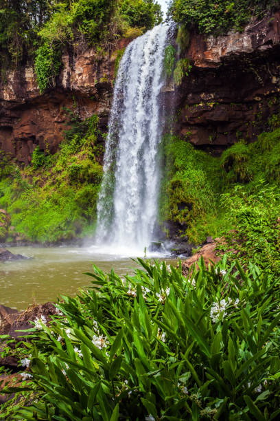 istock Wide rumbling stream of water 901563350