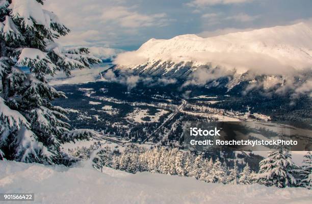 White Landscapes Stock Photo - Download Image Now - Anchorage - Alaska, Alaska Range, Alaska - US State