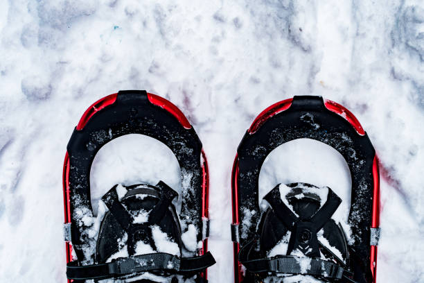 istock Snowshoeing in Glacier National Park 901567932