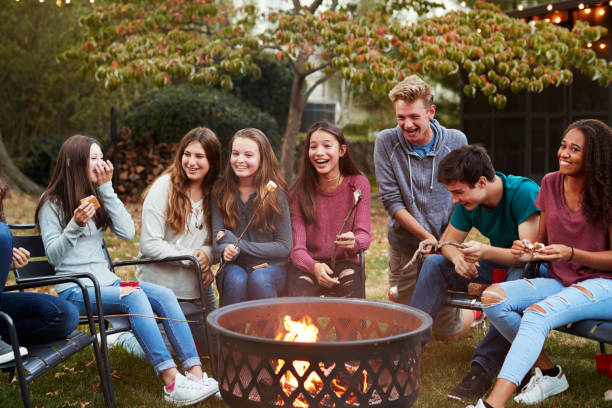 nastoletni przyjaciele siedzą wokół ogniska tosty marshmallows - fire pit fire fireplace outdoors zdjęcia i obrazy z banku zdjęć