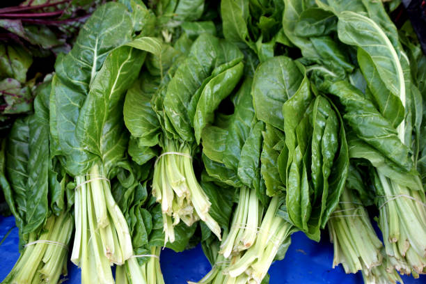 bietola biologica - leaf vegetable vegetable market agricultural fair foto e immagini stock