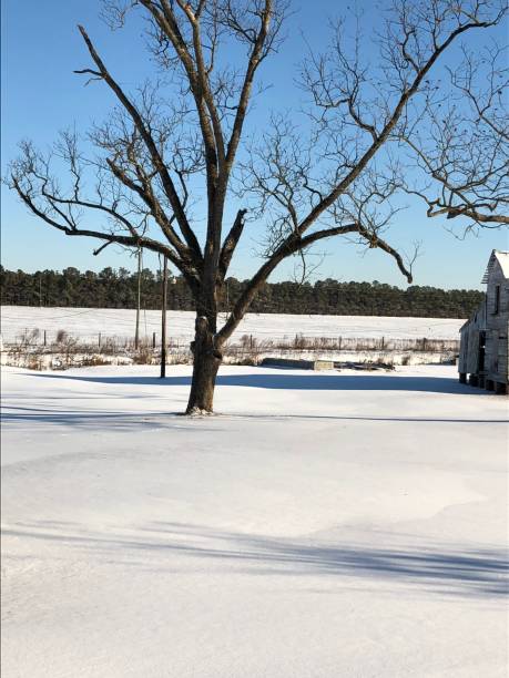 istock Winter storm where snow is rare 901580136