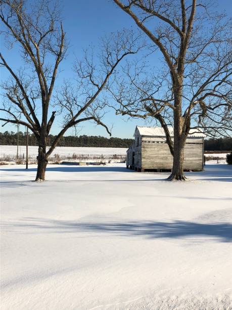 istock Winter storm where snow is rare 901580186