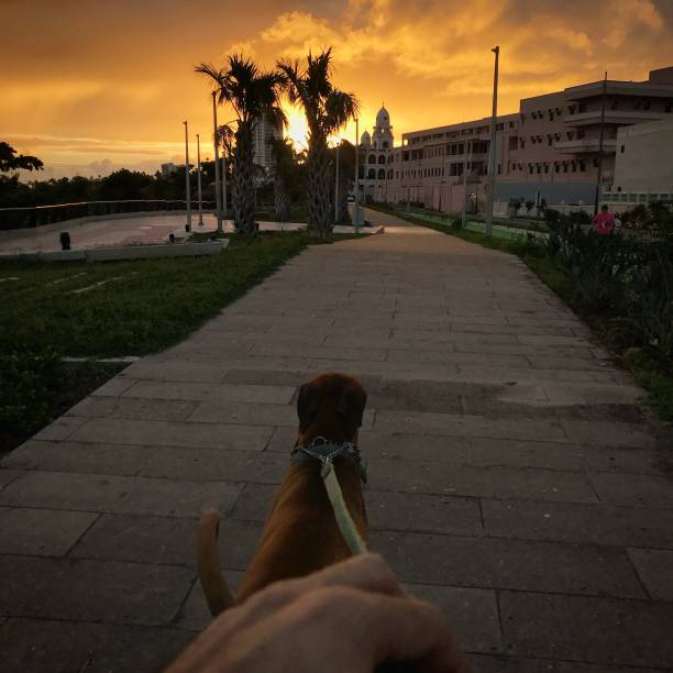 The sun comes out in the Tropical island of Puerto Rico.