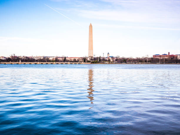 istock The Washington Memorial reflected in the Tidal Basin 901583438