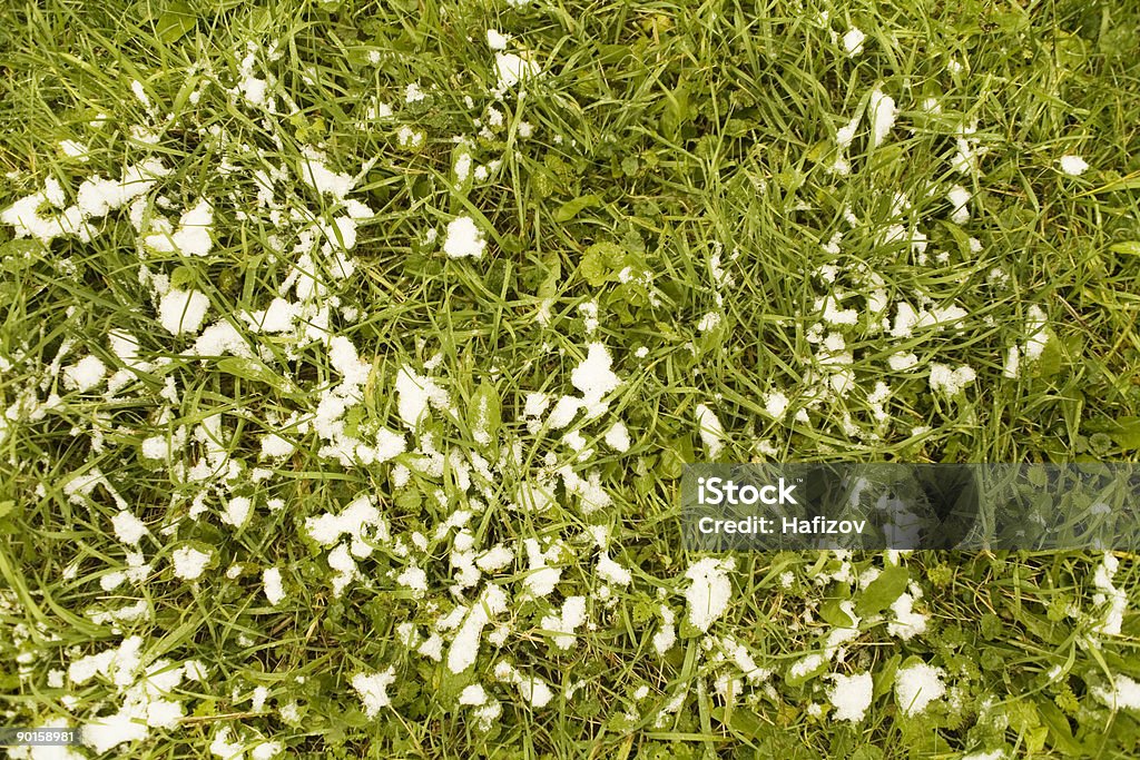 草の上の雪の - カラー画像のロイヤリティフリーストックフォト