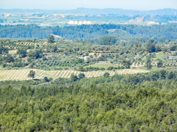 istock Landscape of turkish anthalya country side 901591104