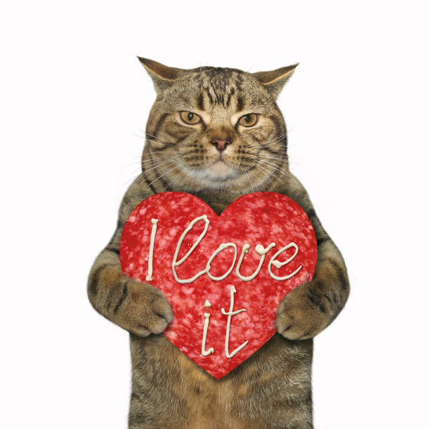 istock Cat with a sausage heart 901594602