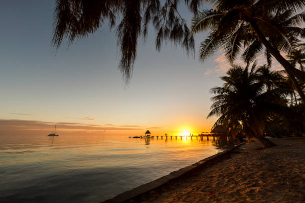 istock Idyllic Rangiroa Island in French Polynesia 901594892