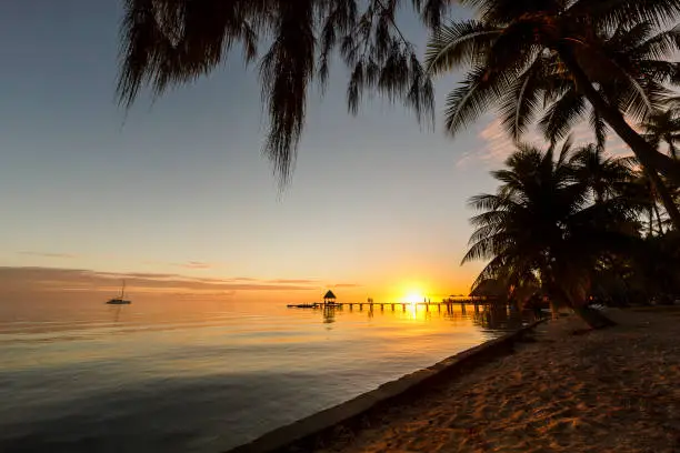 A DSLR Canon photo taken at sunset in idyllic Rangiroa Island in French Polynesia.
