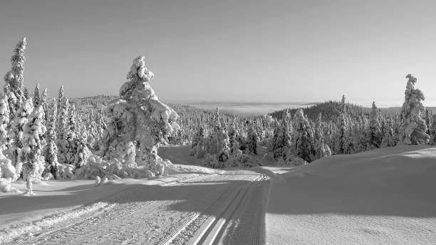 ノルウェー: 景色完璧に準備のクロスカントリー スキー コース - footpath wood horizon nature ストックフォトと画像