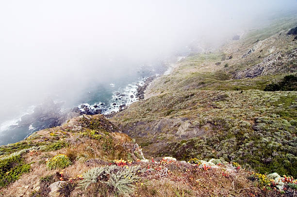 hills and shoreline in fog stock photo